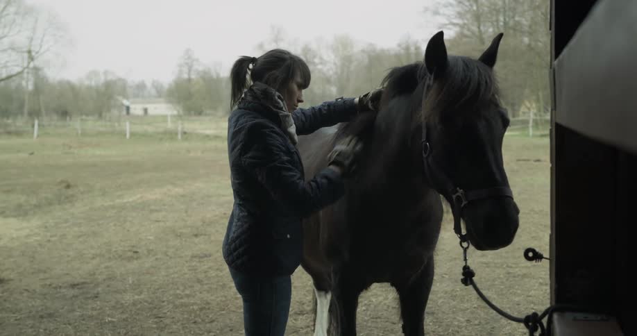 A woman is brushing a horse outdoors