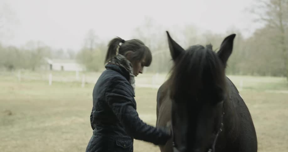 A woman is brushing a horse outside