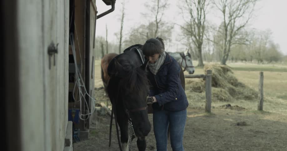 A woman is next to a horse