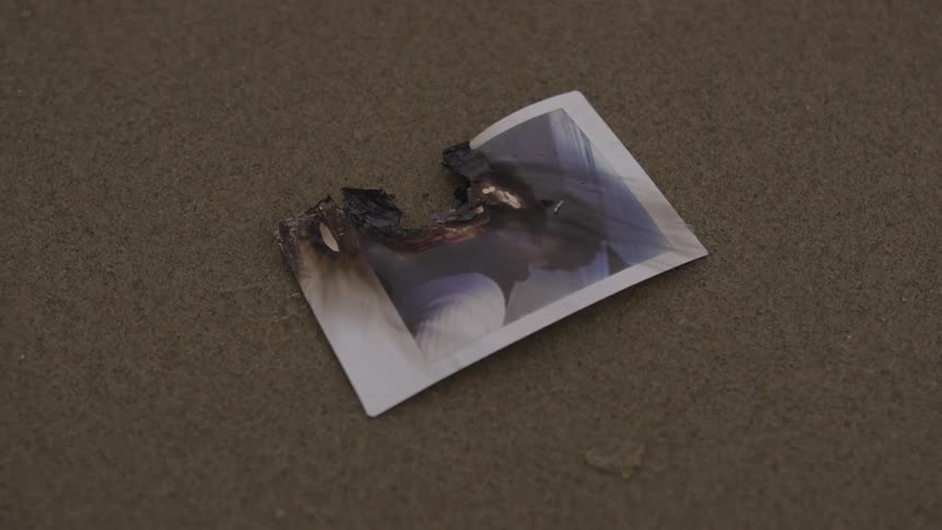 A burned photograph sitting on the sand