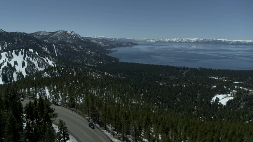 A road traveled between many trees near the water