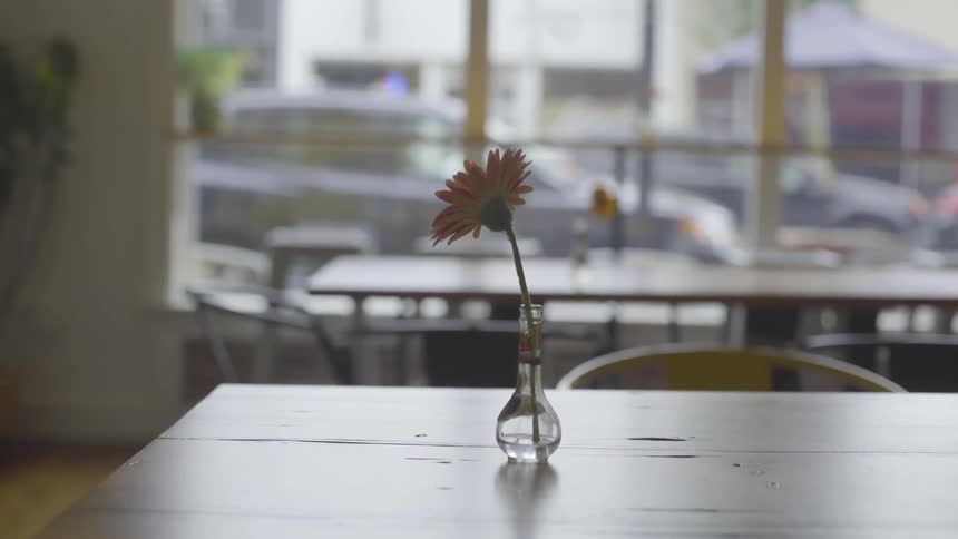 A flower is in a vase on a table
