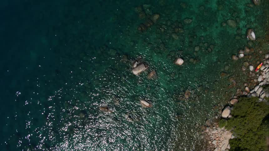 Trees and rocks on the shore of a lake