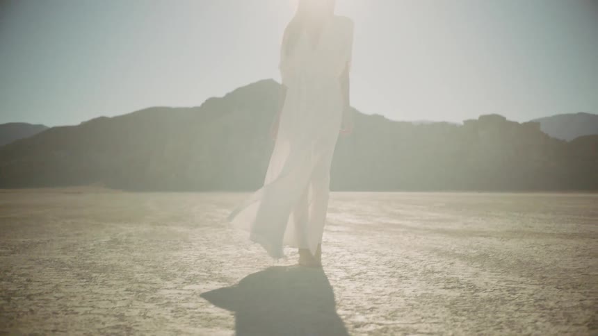 Woman In Dress In The Desert