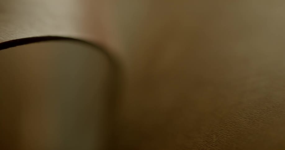 Pieces of leather
