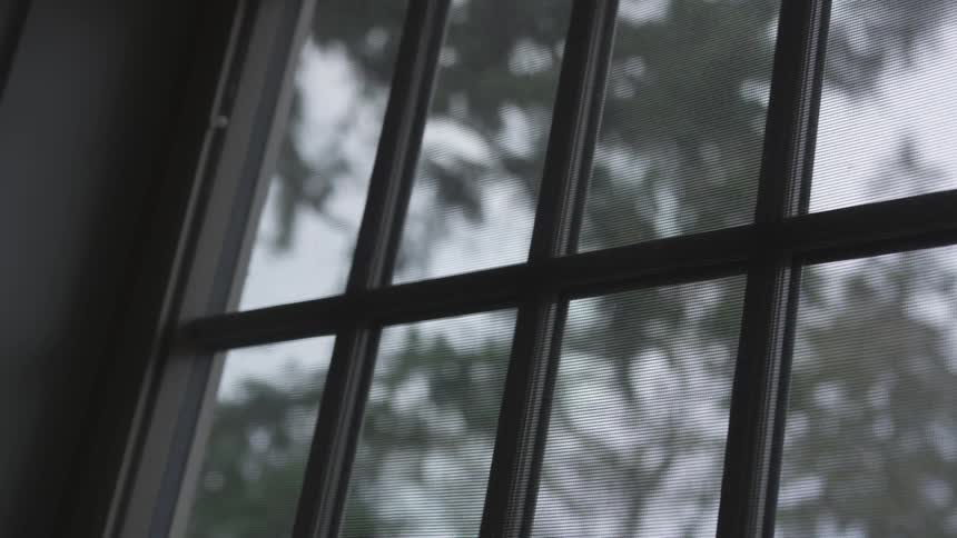 A cloudy day with trees in a backyard