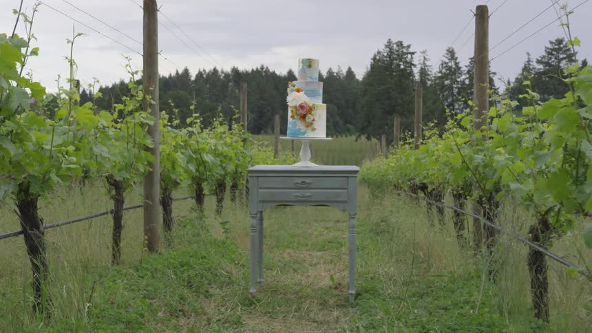 Wedding cake sits on top of a table in the middle of a row of plants on a farm with fences and wires on a cloudy day