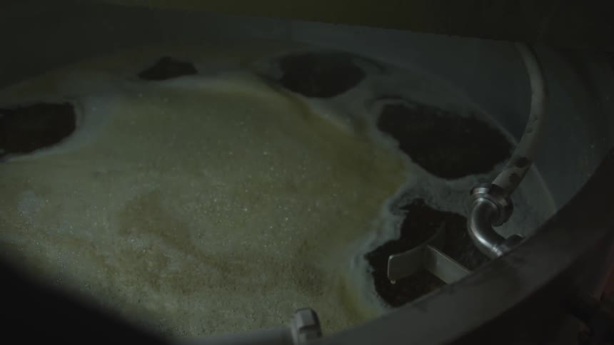 Craft Beer Brewery