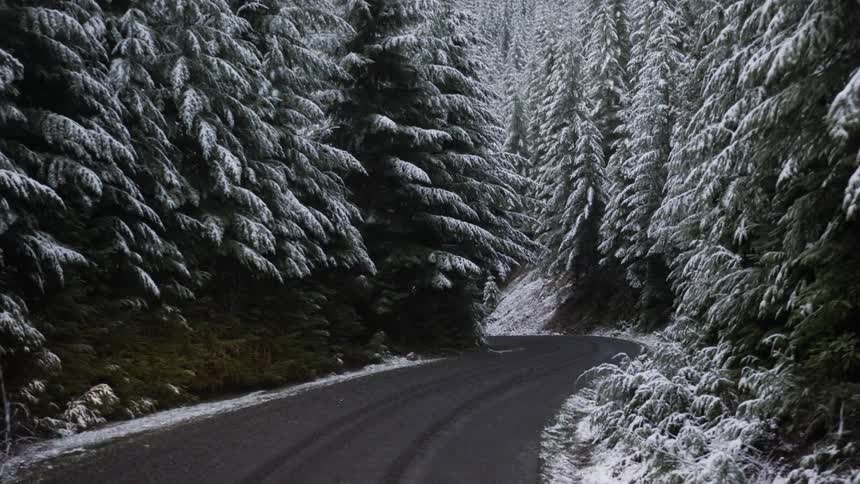 Driving Through Snowy Forest