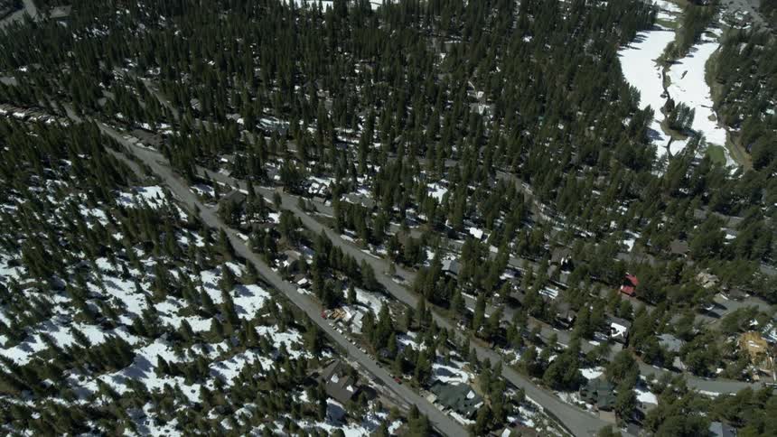 A forest grows around a mountain road
