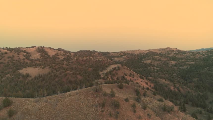 Sparse mountain range with some pine trees