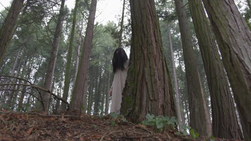 Creepy Woman In Forest