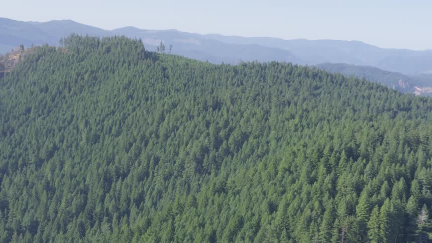 Helicopter shot of a beautiful tree covered hill with mountain ranges in the background on a beautiful sunny day with an aerial view