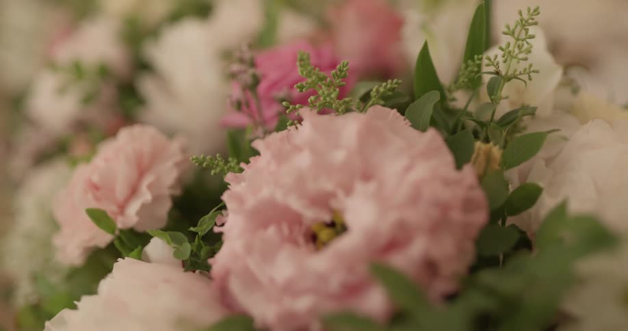 A group of white and pink flowers