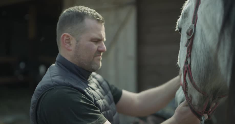 A man pets a horse outside