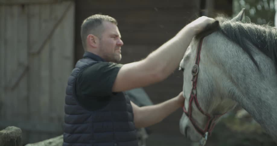 Man gives horse head pats and rubs