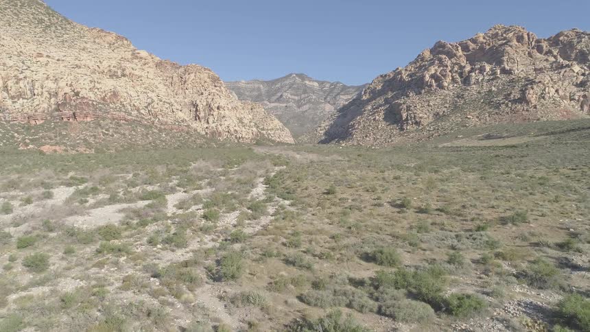 A grassy desert area with large mountains