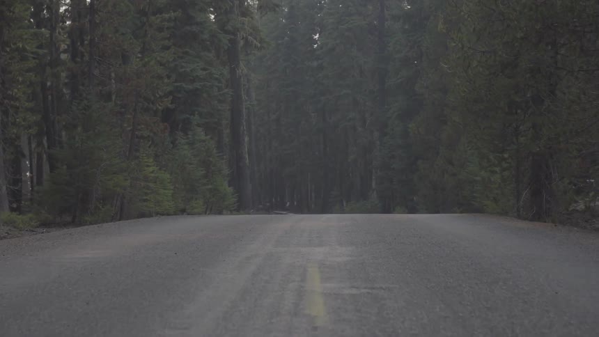 Road passes through a dark woods