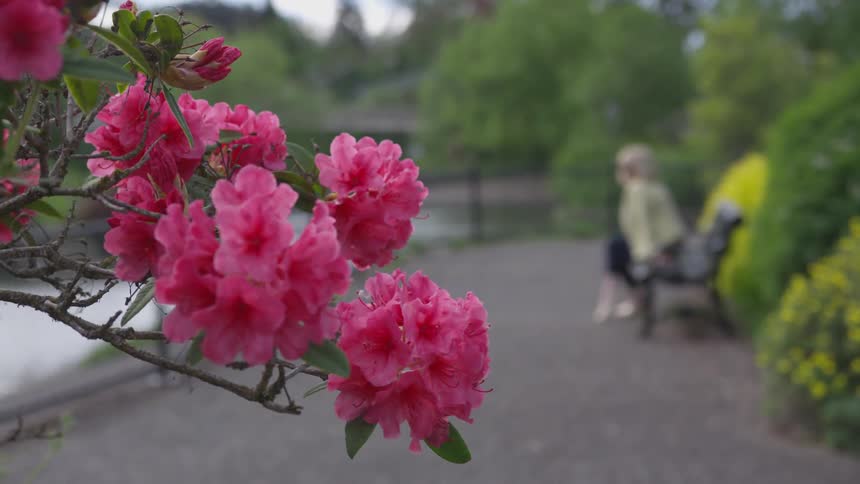 Woman sits on park bench near the water