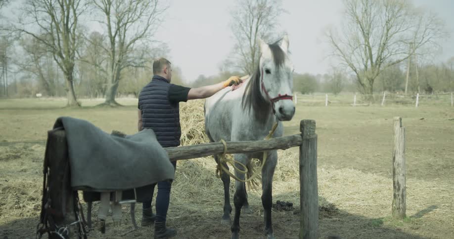 Horse Stables