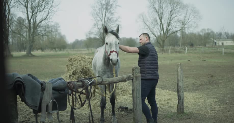 A man is petting a horse