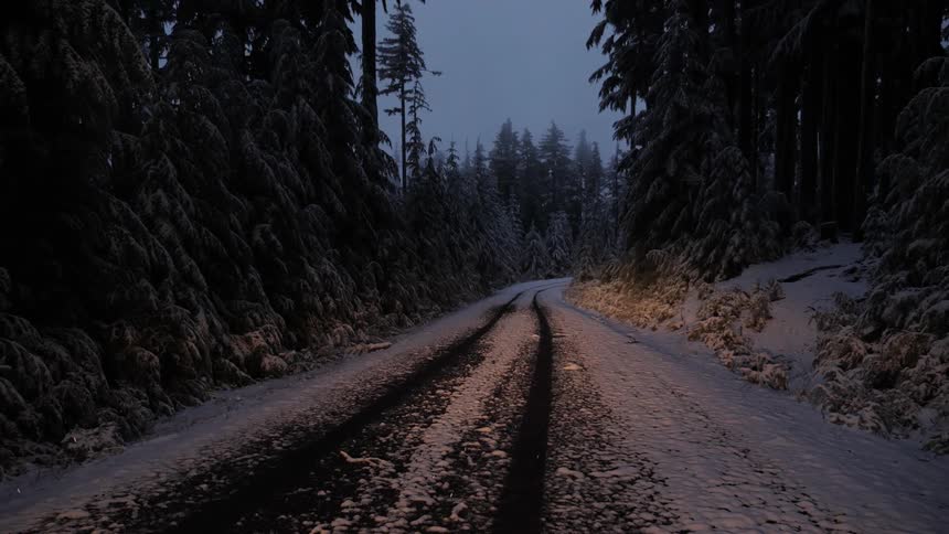 Snow falls on a forest road at night