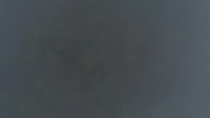Very foggy or cloudy day with a lot of moisture as we pass over tree tops which are barely visible during the day time