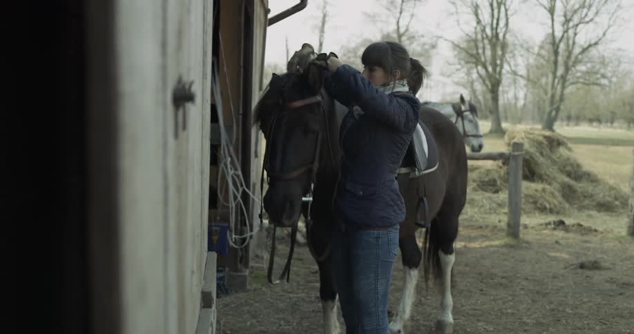 Woman putting a harness on a horse