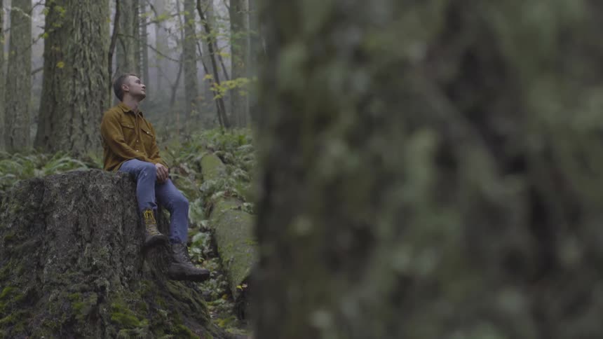A man sits on a huge stump in the forest