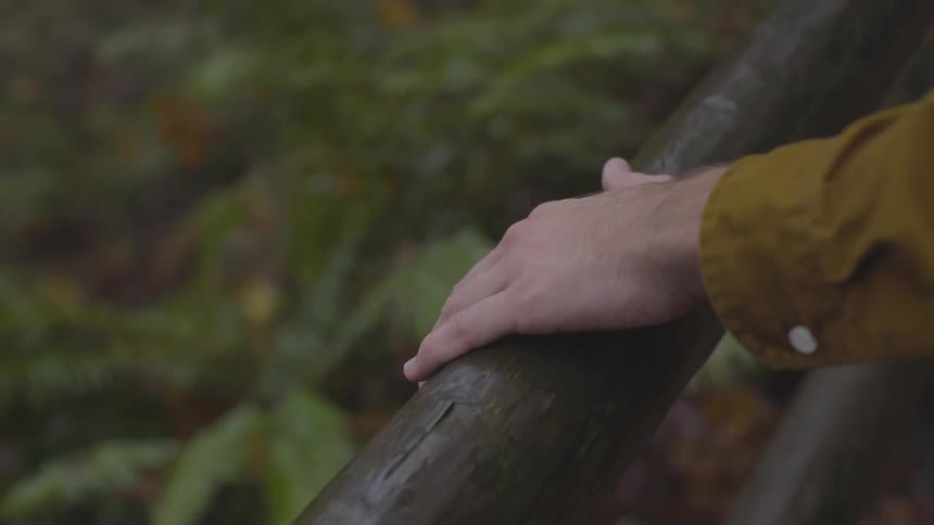 Hand runs along railing above plants in forest
