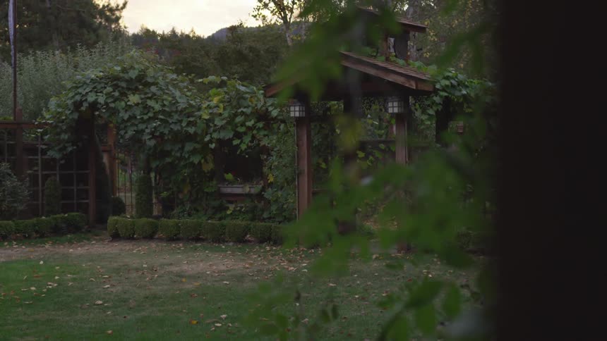 A  yard has a small structure near the back