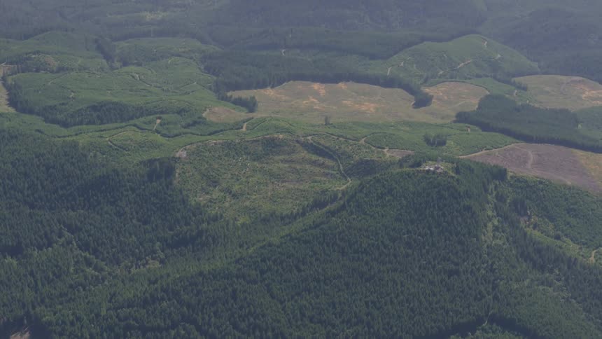 Rolling hills of trees in various shades of green