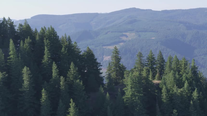 A beautiful view of green mountains