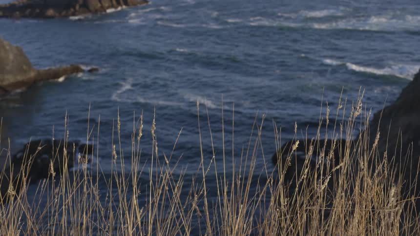 Grass on a hill above the ocean sways in the breeze as waves break against rocks