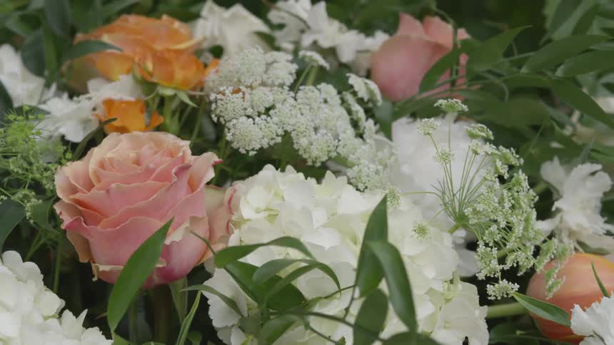 Beautiful flowers grow closely by each other