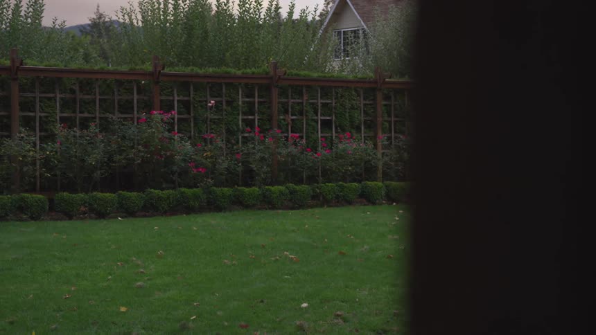 View of greenhouse from window