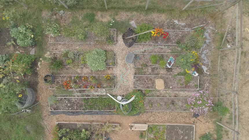 Garden Aerials