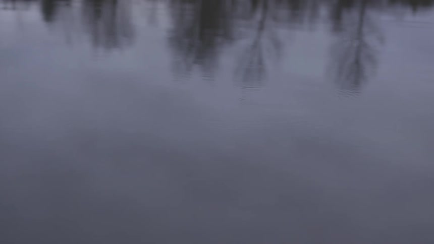 Raindrops fall onto surface of lake