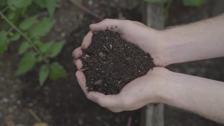 A person holds a double handful of rich dark soil