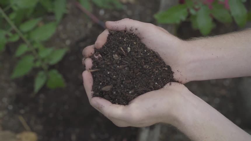 A person standing over a garden with hands full of loose soil