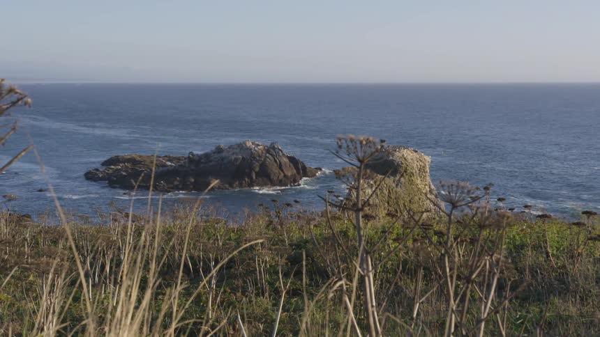 An arid and hard coastline surrounds an islet as plants sway in the wind