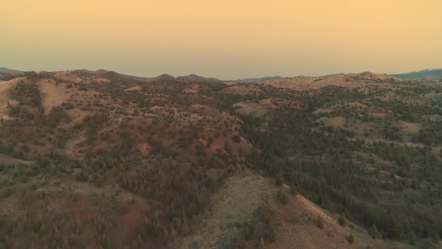 Desert Aerials