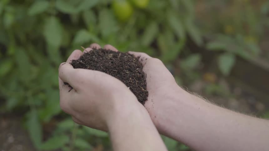 Gardening