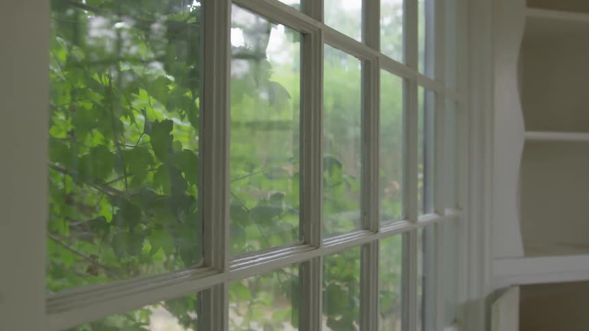 Looking at tree leaves from indoor through a window