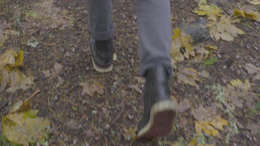 A person walks over the dead leaves on the field
