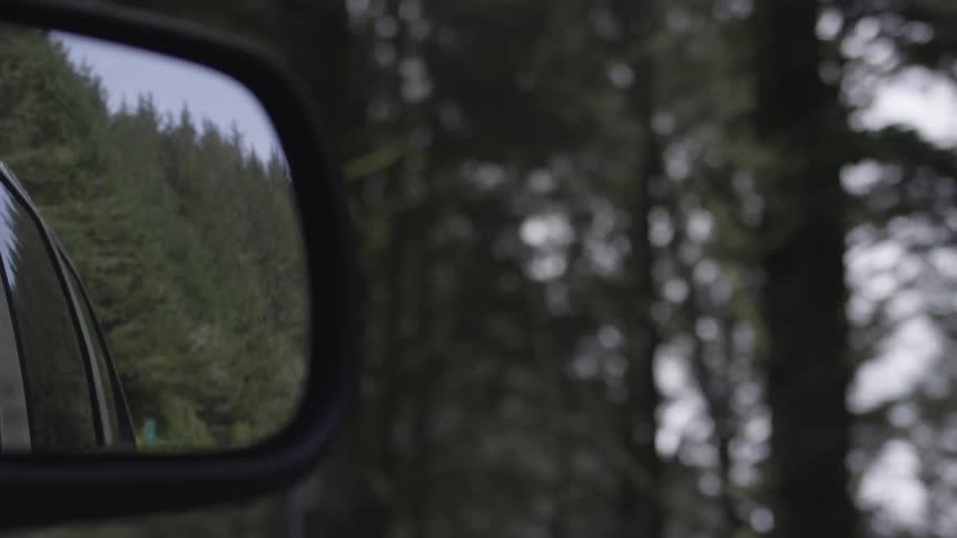 A mirror shows a reflection of a forest on a gray day
