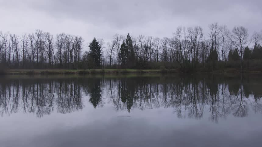 A still lake near a forest on a cloudy day
