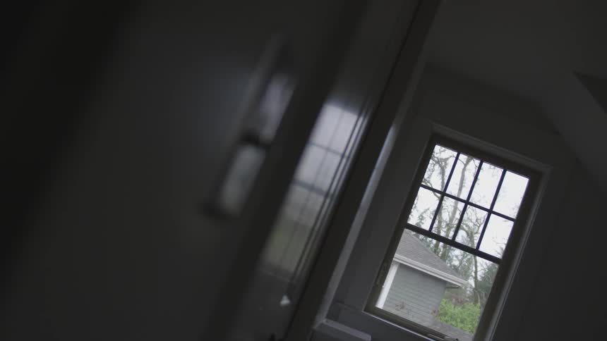 A view in a house out a window to a backyard