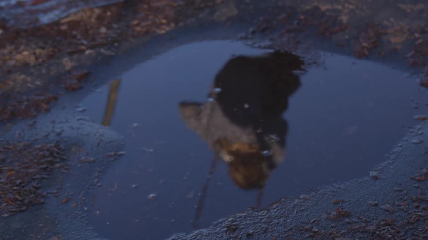 A puddle reflects a girl going by on a swing