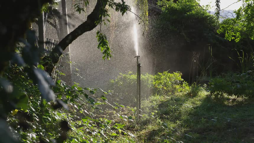 Tall water sprinkler is spraying many plants